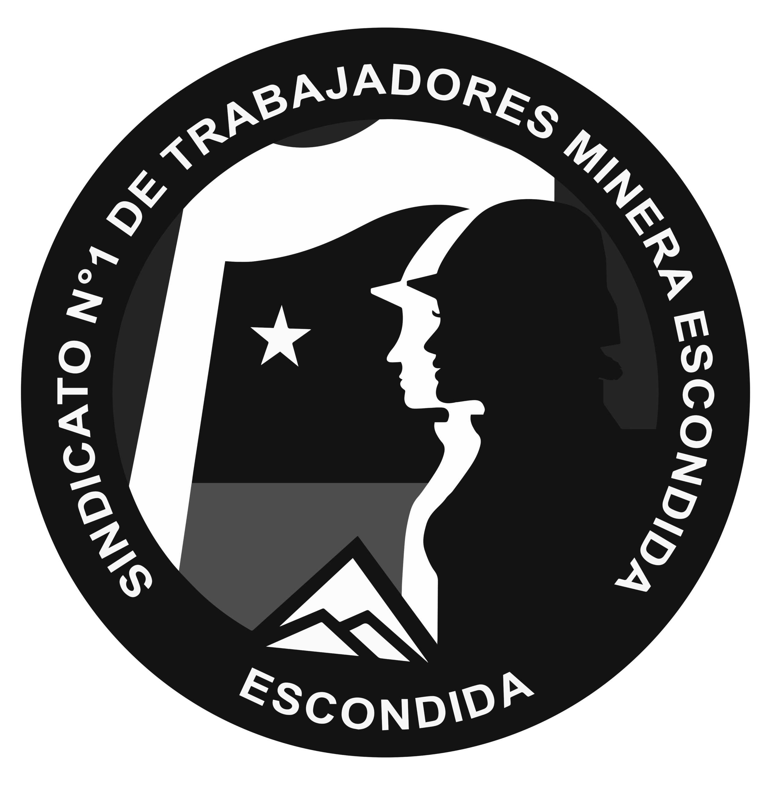 INFORMAMOS ACERCA DEL VELORIO Y FUNERAL DE NUESTRA QUERIDA SOCIA Y COMPAÑERA PAMELA CONSTANZA SYLVESTER TORRES, Q.E.P.D.